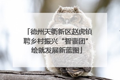 德州天衢新区赵虎镇聘乡村振兴“智囊团” 绘就发展新蓝图