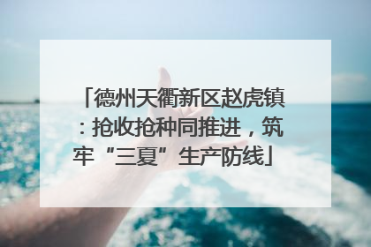 德州天衢新区赵虎镇：抢收抢种同推进，筑牢“三夏”生产防线