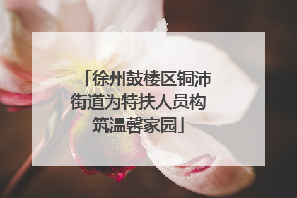 徐州鼓楼区铜沛街道为特扶人员构筑温馨家园
