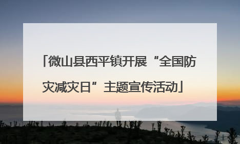 微山县西平镇开展“全国防灾减灾日”主题宣传活动