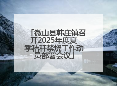 微山县韩庄镇召开2025年度夏季秸秆禁烧工作动员部署会议