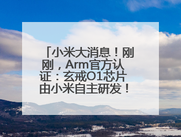 小米大消息！刚刚，Arm官方认证：玄戒O1芯片由小米自主研发！雷军此前称已开始大规模量产