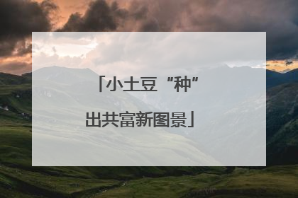 小土豆“种”出共富新图景