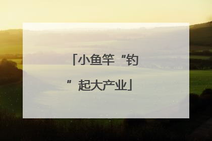 小鱼竿“钓”起大产业