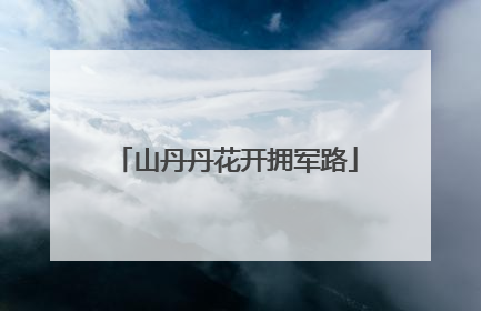 山丹丹花开拥军路
