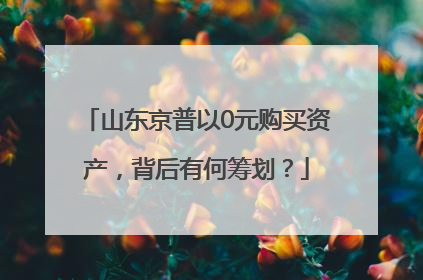 山东京普以0元购买资产，背后有何筹划？