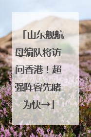 山东舰航母编队将访问香港！超强阵容先睹为快→