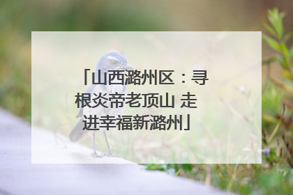 山西潞州区：寻根炎帝老顶山 走进幸福新潞州