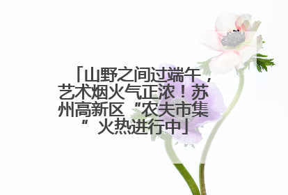山野之间过端午，艺术烟火气正浓！苏州高新区“农夫市集”火热进行中