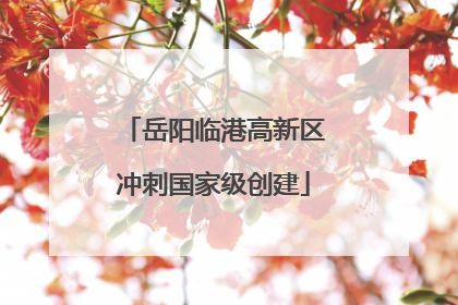 岳阳临港高新区冲刺国家级创建