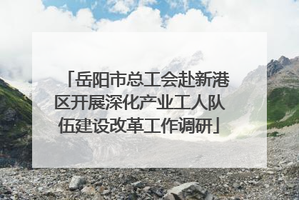 岳阳市总工会赴新港区开展深化产业工人队伍建设改革工作调研