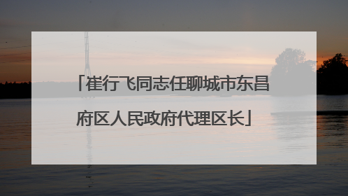 崔行飞同志任聊城市东昌府区人民政府代理区长