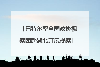 巴特尔率全国政协视察团赴湖北开展视察