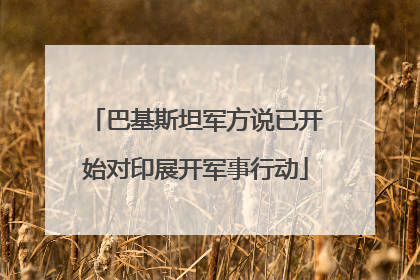 巴基斯坦军方说已开始对印展开军事行动