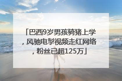 巴西9岁男孩骑猪上学，风驰电掣视频走红网络，粉丝已超125万
