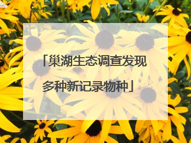 巢湖生态调查发现多种新记录物种