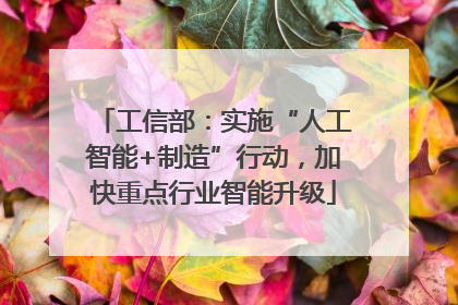 工信部：实施“人工智能+制造”行动，加快重点行业智能升级