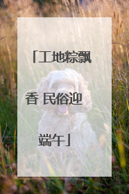 工地粽飘香 民俗迎端午