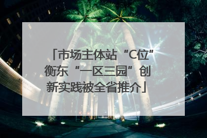 市场主体站“C位” 衡东“一区三园”创新实践被全省推介