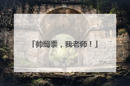 帅蜀黍，我老师！