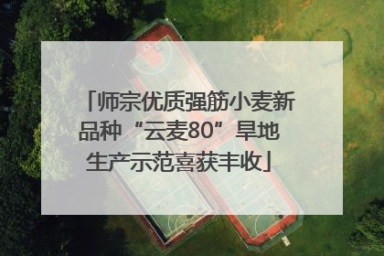 师宗优质强筋小麦新品种“云麦80”旱地生产示范喜获丰收