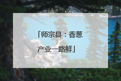师宗县：香葱产业一路鲜