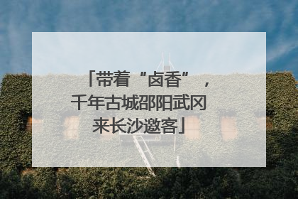 带着“卤香”，千年古城邵阳武冈来长沙邀客