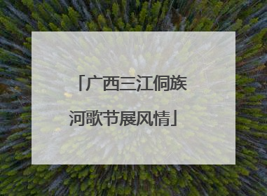 广西三江侗族河歌节展风情