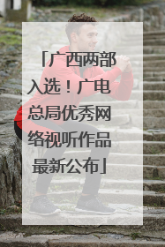 广西两部入选！广电总局优秀网络视听作品最新公布