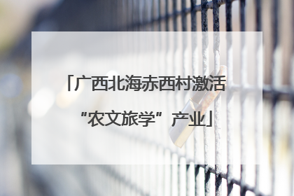 广西北海赤西村激活“农文旅学”产业