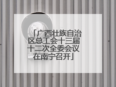 广西壮族自治区总工会十三届十二次全委会议在南宁召开