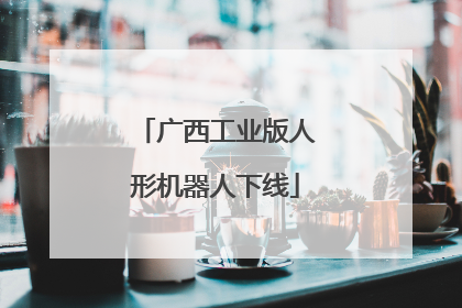广西工业版人形机器人下线