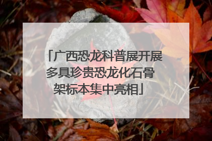 广西恐龙科普展开展 多具珍贵恐龙化石骨架标本集中亮相