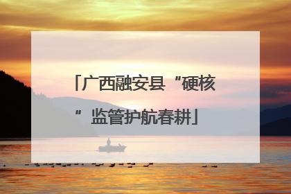 广西融安县“硬核”监管护航春耕