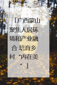 广西蒙山聚焦人居环境和产业融合 培育乡村“内在美”
