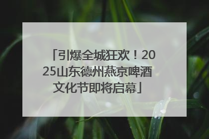 引爆全城狂欢！2025山东德州燕京啤酒文化节即将启幕