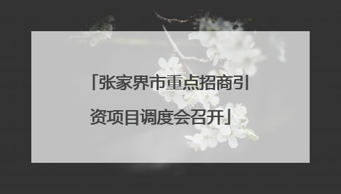 张家界市重点招商引资项目调度会召开