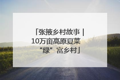 张掖乡村故事｜10万亩高原夏菜“绿”富乡村