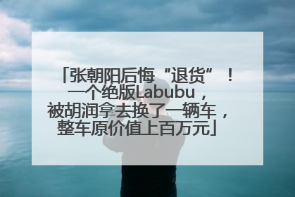 张朝阳后悔“退货”！一个绝版Labubu，被胡润拿去换了一辆车，整车原价值上百万元