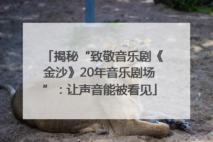 揭秘“致敬音乐剧《金沙》20年音乐剧场”：让声音能被看见