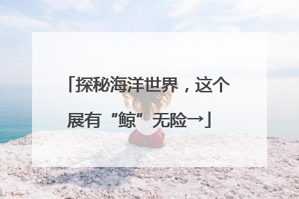 探秘海洋世界，这个展有“鲸”无险→