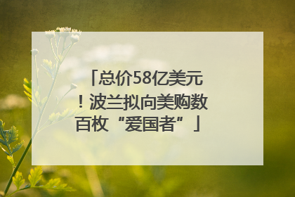 总价58亿美元！波兰拟向美购数百枚“爱国者”