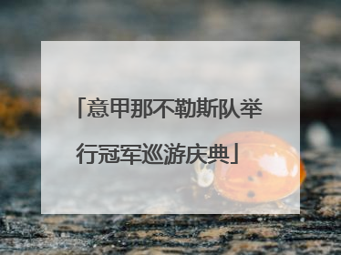意甲那不勒斯队举行冠军巡游庆典