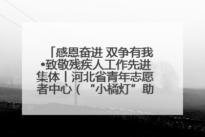 感恩奋进 双争有我•致敬残疾人工作先进集体丨河北省青年志愿者中心（“小橘灯”助残接力计划实施团队）：用温暖陪伴，守护特殊孩子成长