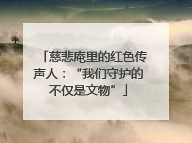慈悲庵里的红色传声人：“我们守护的不仅是文物”