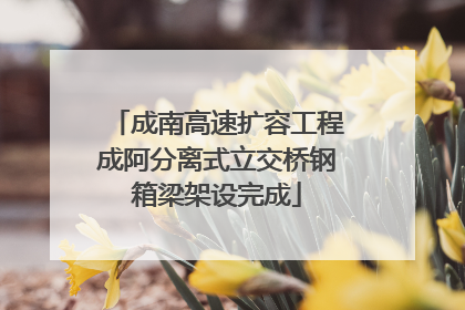 成南高速扩容工程成阿分离式立交桥钢箱梁架设完成