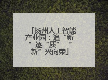 扬州人工智能产业园：追“新”逐“质” “新”兴向荣