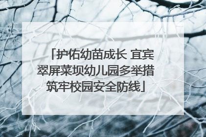 护佑幼苗成长 宜宾翠屏菜坝幼儿园多举措筑牢校园安全防线