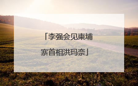 李强会见柬埔寨首相洪玛奈
