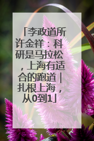 李政道所许金祥：科研是马拉松，上海有适合的跑道｜扎根上海，从0到1